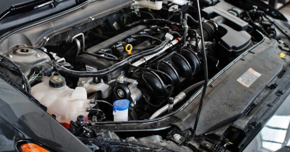 img-post-04 img-post-04